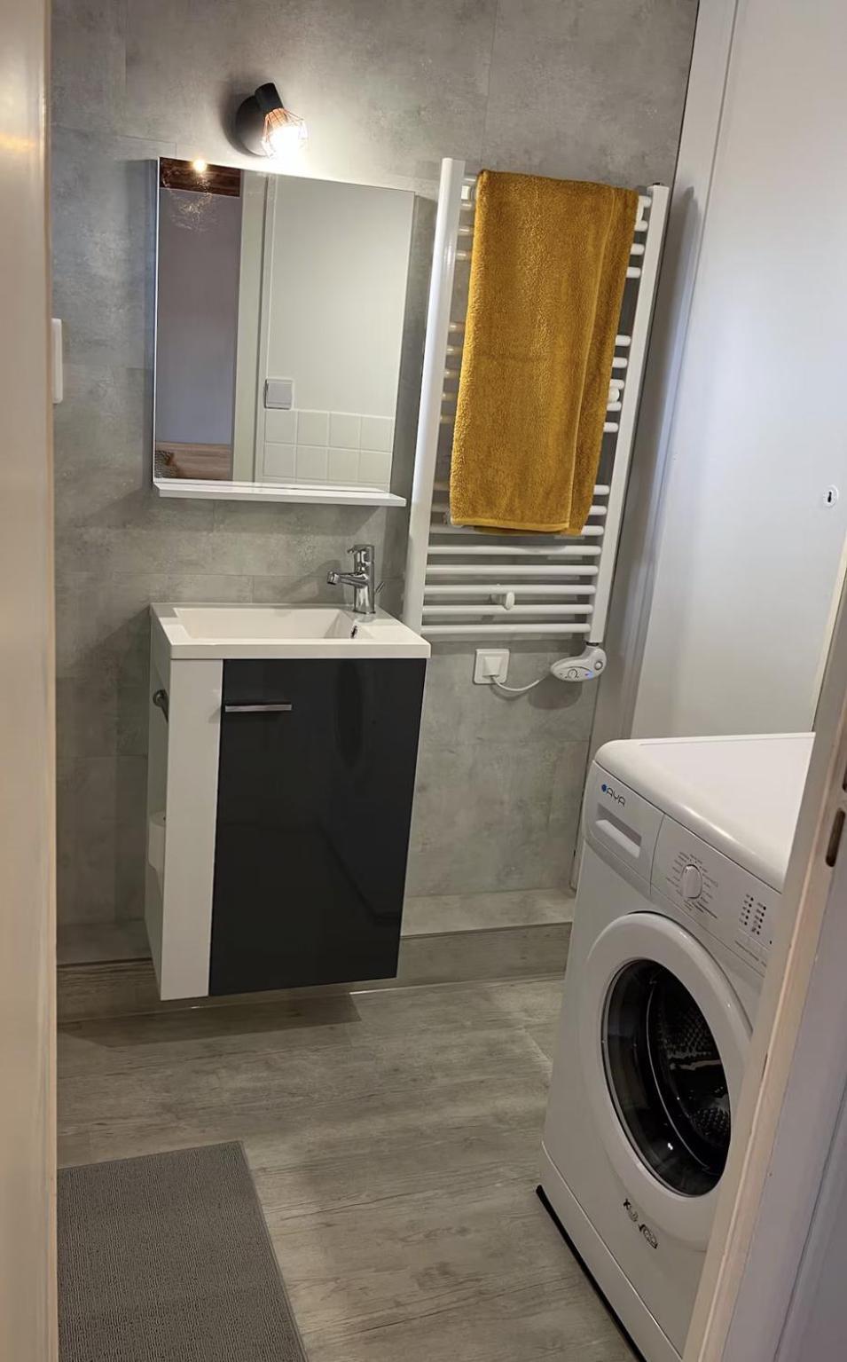 Logements Des Marmottons - Coeur De Village A Bonne-sur-Ménoge מראה חיצוני תמונה